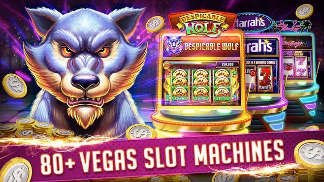 lodi291 online casino games gameplay